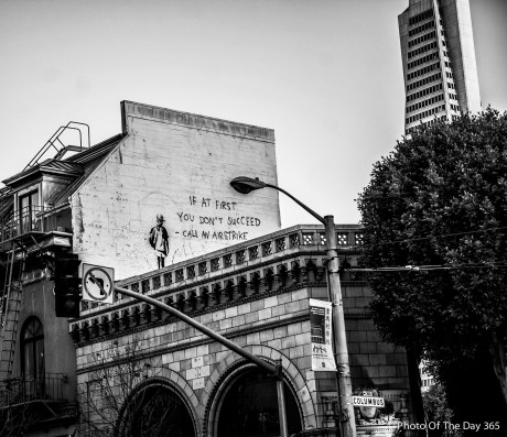 ©Photo Of The Day 365-265 of 365