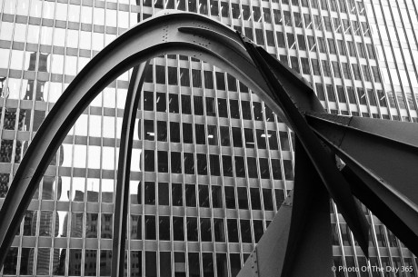 ©Photo Of The Day 365-266 of 365