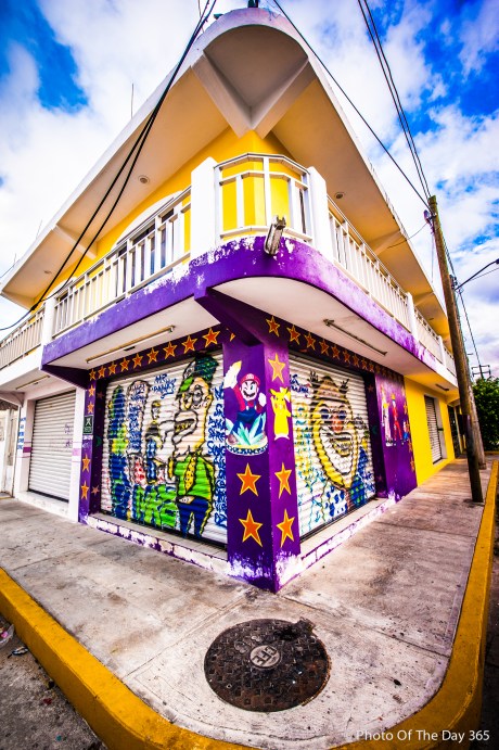 ©Photo Of The Day 365-268 of 365