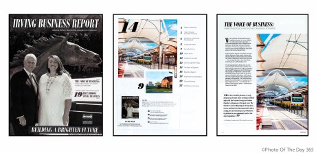 ©Photo Of The Day 365-269 of 365