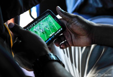 ©Photo Of The Day 365-275 of 365-1