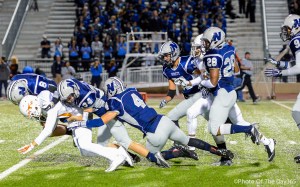 ©Photo Of The Day 365-275 of 365-14