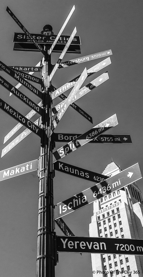 ©Photo Of The Day 365-276 of 365