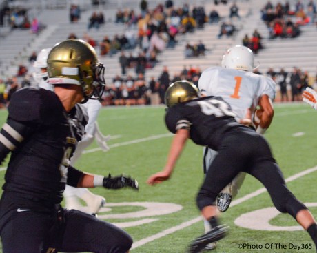 ©Photo Of The Day 365-281 of 365-4