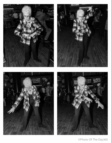 ©Photo Of The Day 365-282 of 365