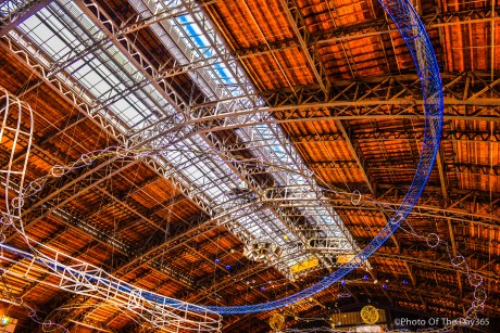 ©Photo Of The Day 365-283 of 365