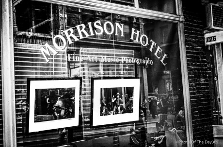 ©Photo Of The Day 365-284 of 365