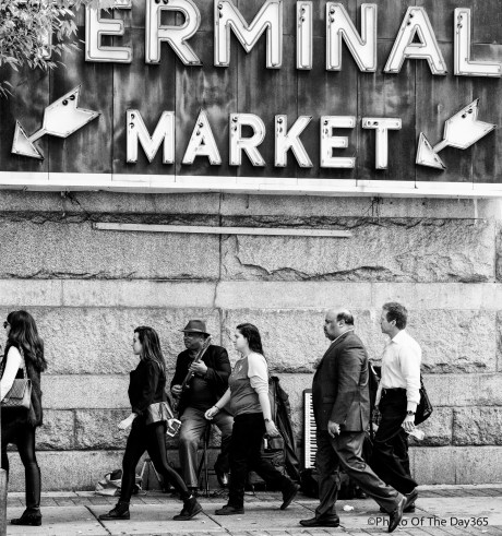 ©Photo Of The Day 365-287 of 365