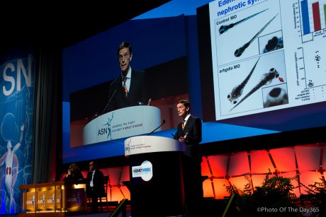 ©Photo Of The Day 365-288 of 365-1