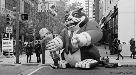 ©Photo Of The Day 365-289 of 365