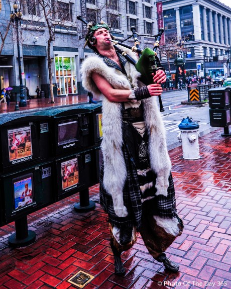 ©Photo Of The Day 365-291 of 365