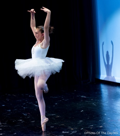 ©Photo Of The Day 365-292 of 365-1