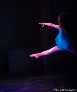 ©Photo Of The Day 365-292 of 365-2