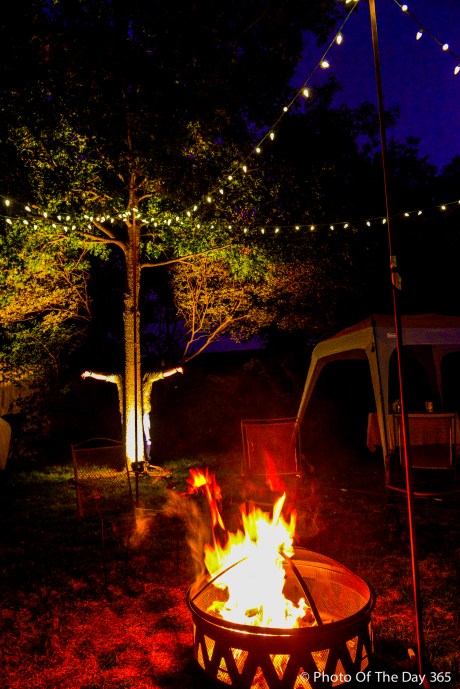 ©Photo Of The Day 365-296 of 365