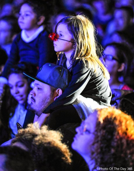 ©Photo Of The Day 365-297 of 365-3