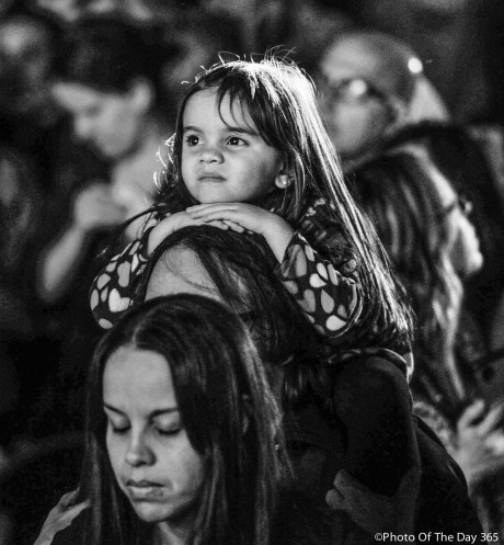 ©Photo Of The Day 365-297 of 365-4