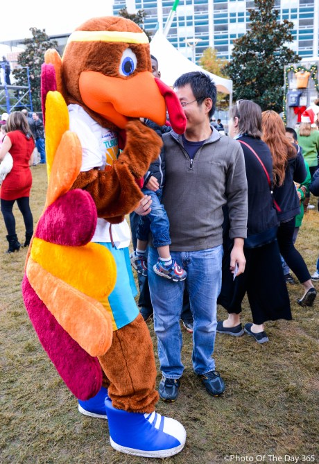 ©Photo Of The Day 365-300 of 365