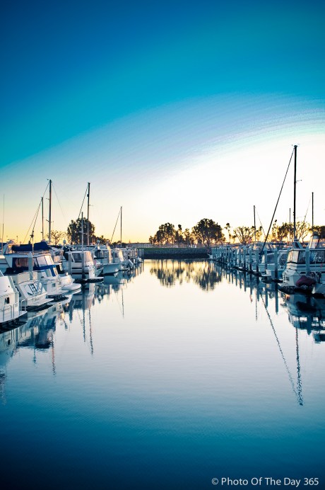 ©Photo Of The Day 365-305 of 365