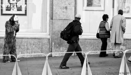 ©Photo Of The Day 365-310 of 365