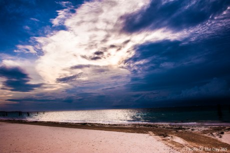 ©Photo Of The Day 365-311 of 365