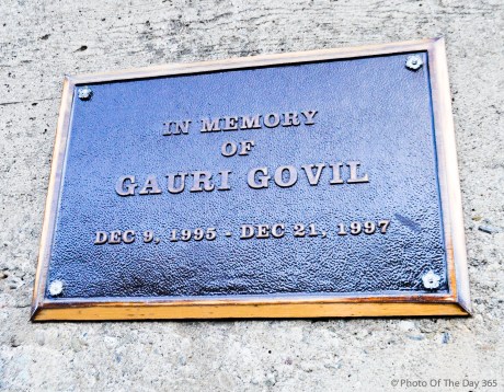 ©Photo Of The Day 365-312 of 365