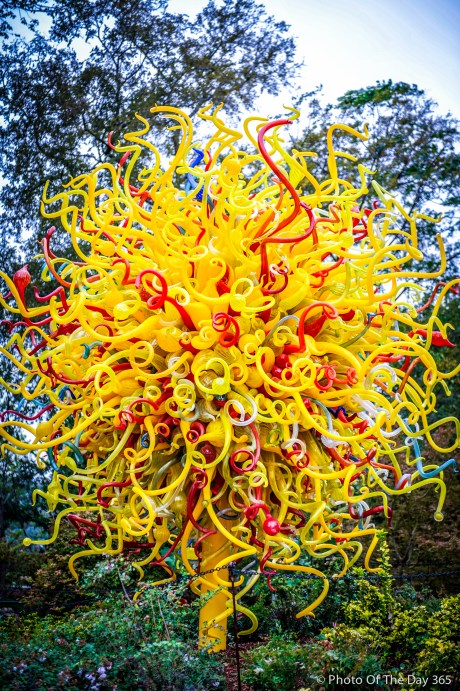 ©Photo Of The Day 365-313 of 365