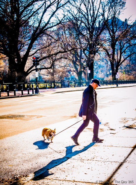 ©Photo Of The Day 365-316 of 365