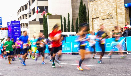 ©Photo Of The Day 365-317 of 365-2