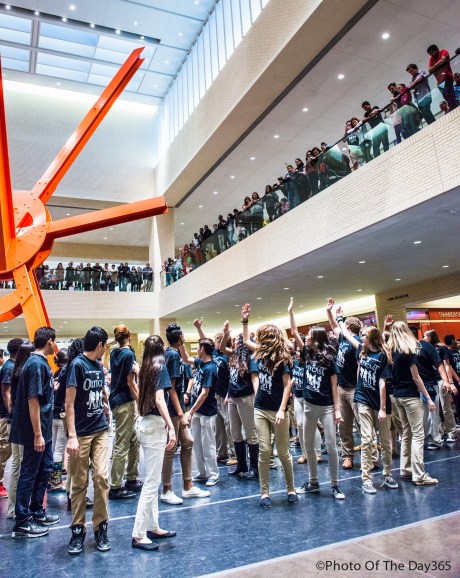 ©Photo Of The Day 365-318 of 365