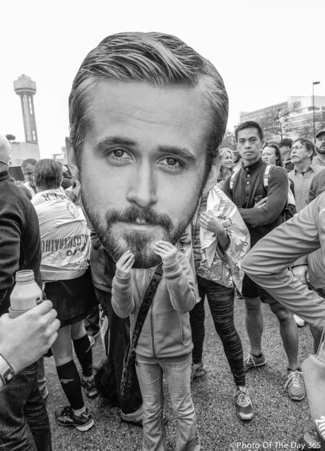 ©Photo Of The Day 365-319 of 365