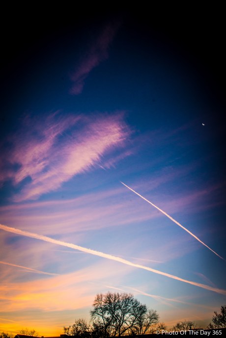 ©Photo Of The Day 365-321 of 365