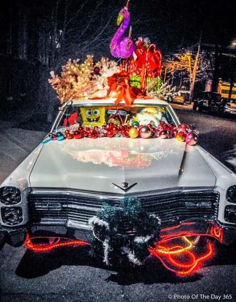 ©Photo Of The Day 365-323 of 365