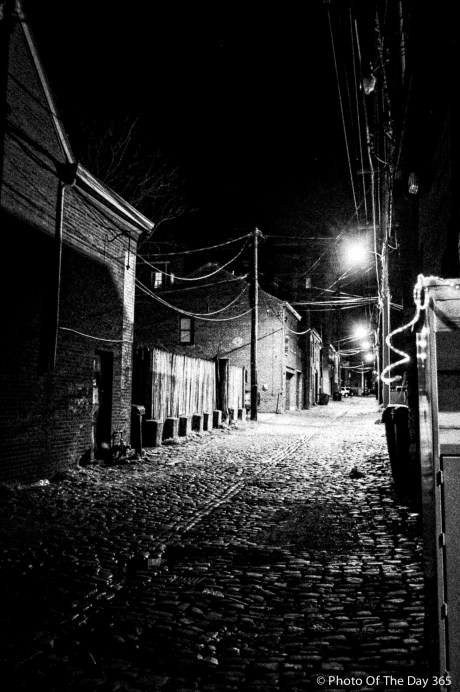 ©Photo Of The Day 365-324 of 365