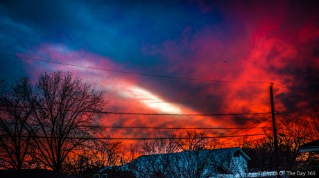 ©Photo Of The Day 365-326 of 365