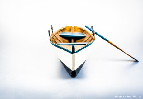 ©Photo Of The Day 365-330 of 365