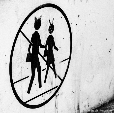 ©Photo Of The Day 365-331 of 365