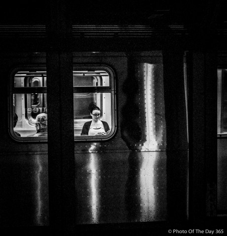 ©Photo Of The Day 365-335 of 365