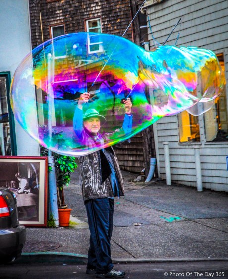 ©Photo Of The Day 365-337 of 365