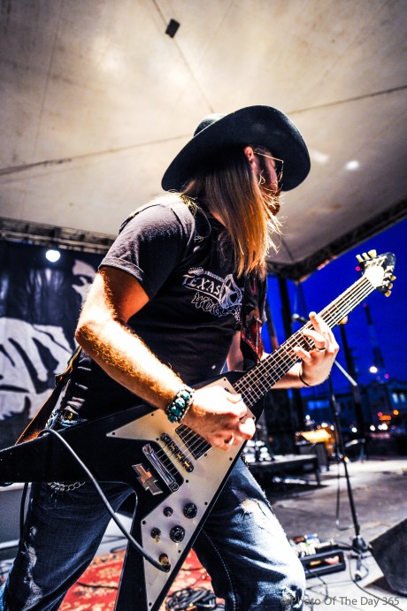 ©Photo Of The Day 365-338 of 365