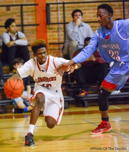 ©Photo Of The Day 365-341 of 365-3