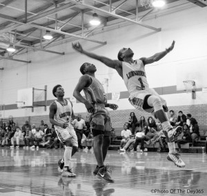 ©Photo Of The Day 365-341 of 365-8