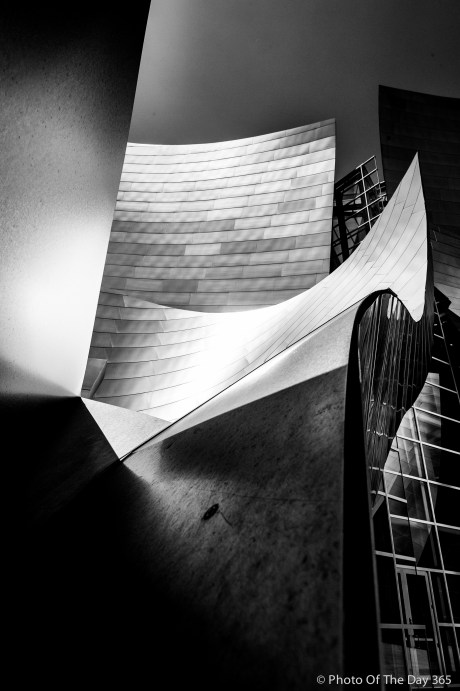 ©Photo Of The Day 365-342 of 365