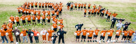 ©Photo Of The Day 365-344 of 365