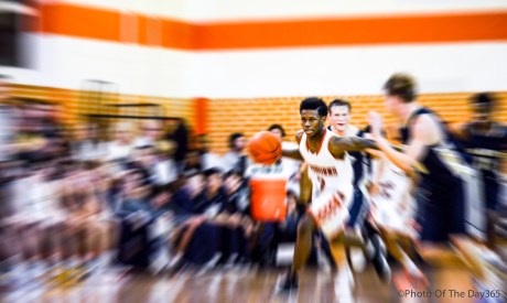 ©Photo Of The Day 365-345 of 365