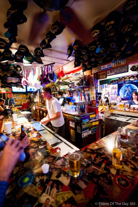 ©Photo Of The Day 365-347 of 365