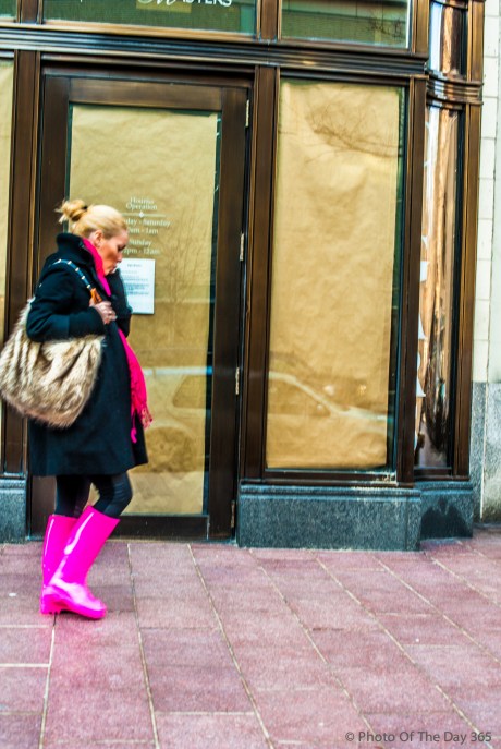 ©Photo Of The Day 365-348 of 365