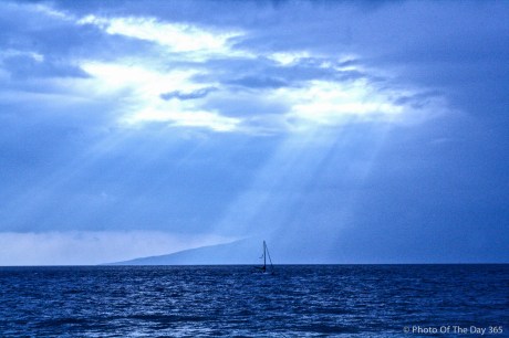 ©Photo Of The Day 365-349 of 365