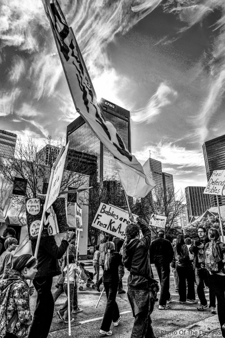 ©Photo Of The Day 365-350 of 365