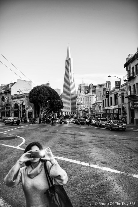 ©Photo Of The Day 365-364 of 365